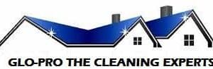 Glo-Pro: The Cleaning Experts website screenshot
